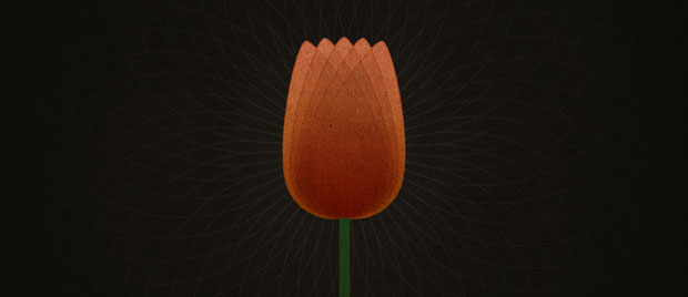 TULIP and Reformed Theology (Use for all 6 articles in this series)